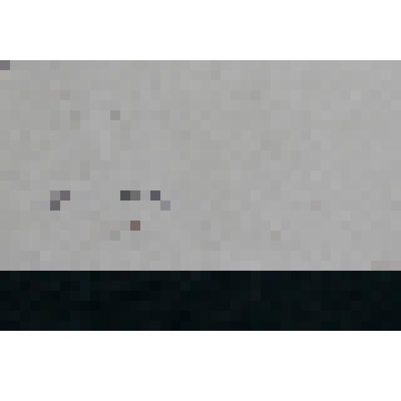 Гравюра "Вид Козельской Успенской Оптиной пустыни в 1831 г."