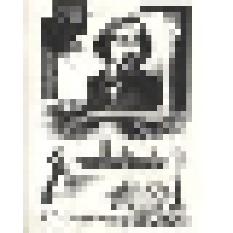 Экслибрис Веры Самсоновны Чернышевской "Из книг о городе на Неве". С графическим портретом Н.Г. Чернышевского на основе фото 1883 г