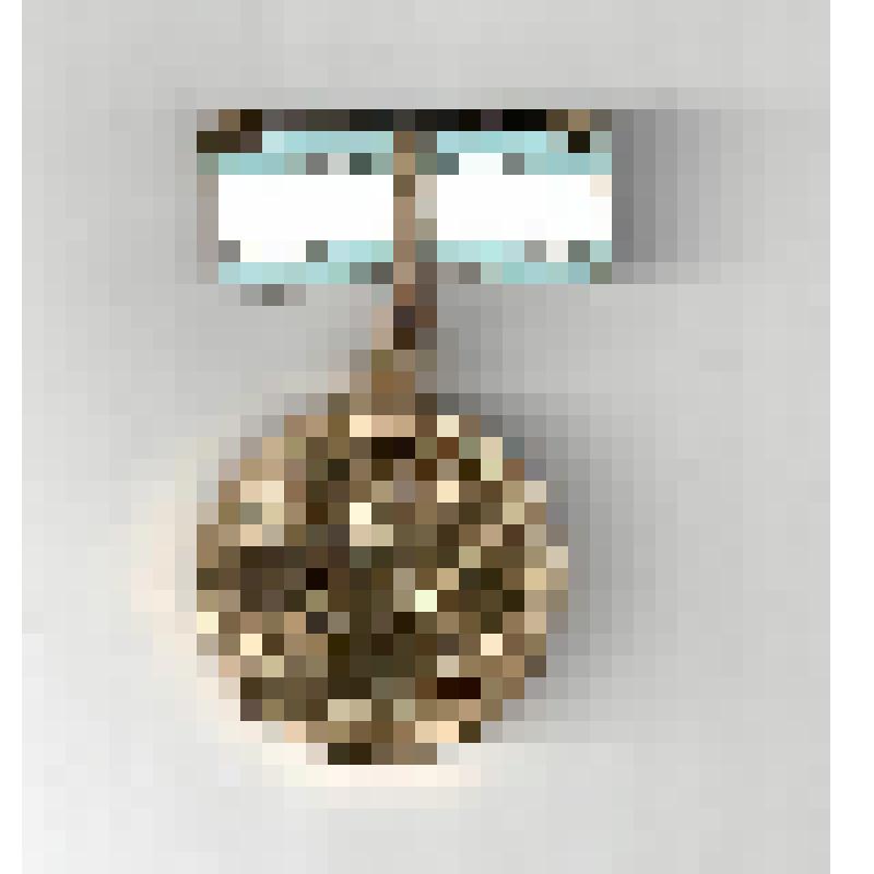 Медаль Материнства СССР  Ильиновой Евдокии Михайловны