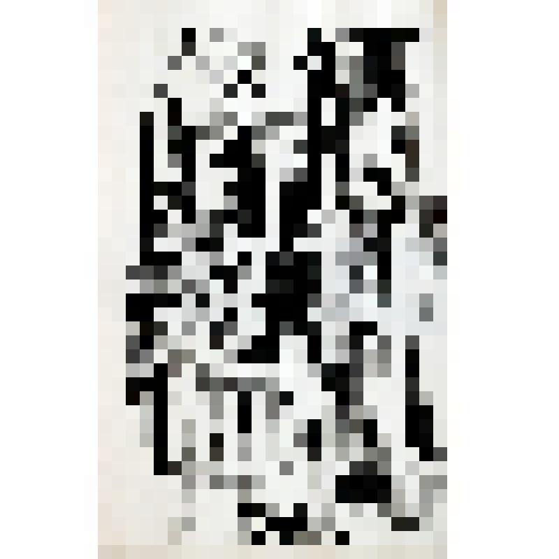 Иллюстрации к произведениям В.Набокова. Лист №6