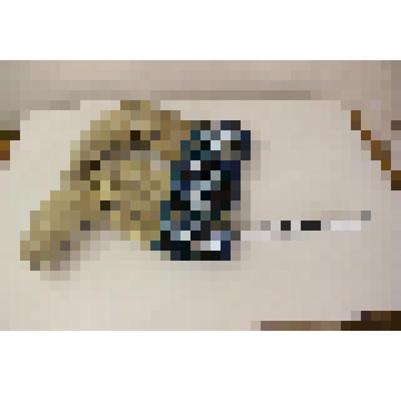 Торбаза женские-сарыы этэрбэс, отделка бисером, металлом, работа мастера автора