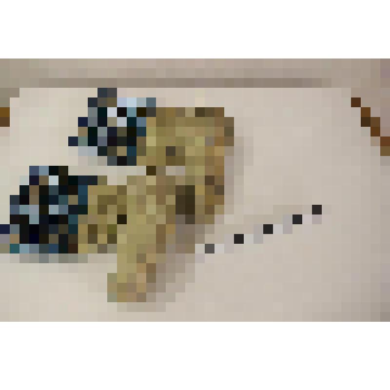 Торбаза женские-сарыы этэрбэс, отделка бисером, металлом, работа мастера автора