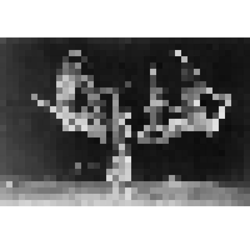 Открытка "О.Лепешинская. Сцена "Вальпургиева ночь" из оперы "Фауст"