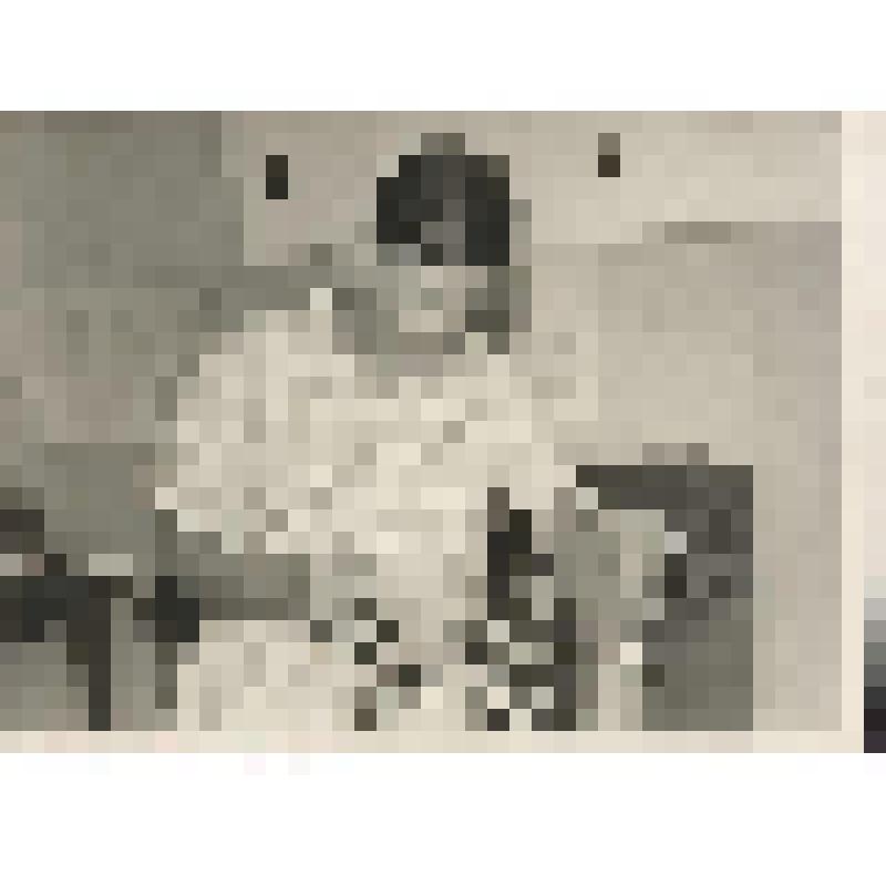 Фотография ч/б. Портрет Савина Юрия Федоровича, ремонтирующего телеграфный аппарат СТА-2М