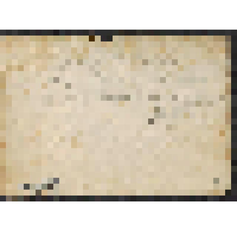 Фотография. Бригада Устенковой (овощеводы колхоза "Сопки")