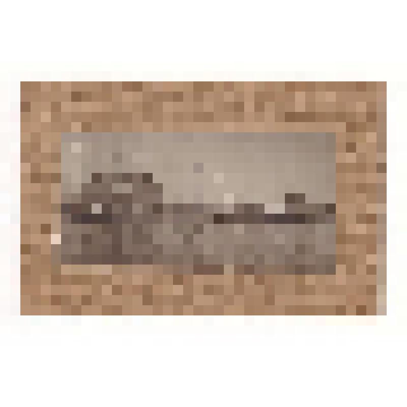 Фотопозитив. Пароход «Ямал» у холодильника в Архангельске