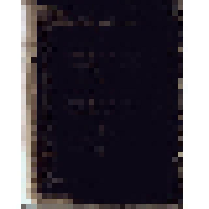 Негатив на стеклянном носителе. Дверь из резного дерева. Индийцы, сикхи