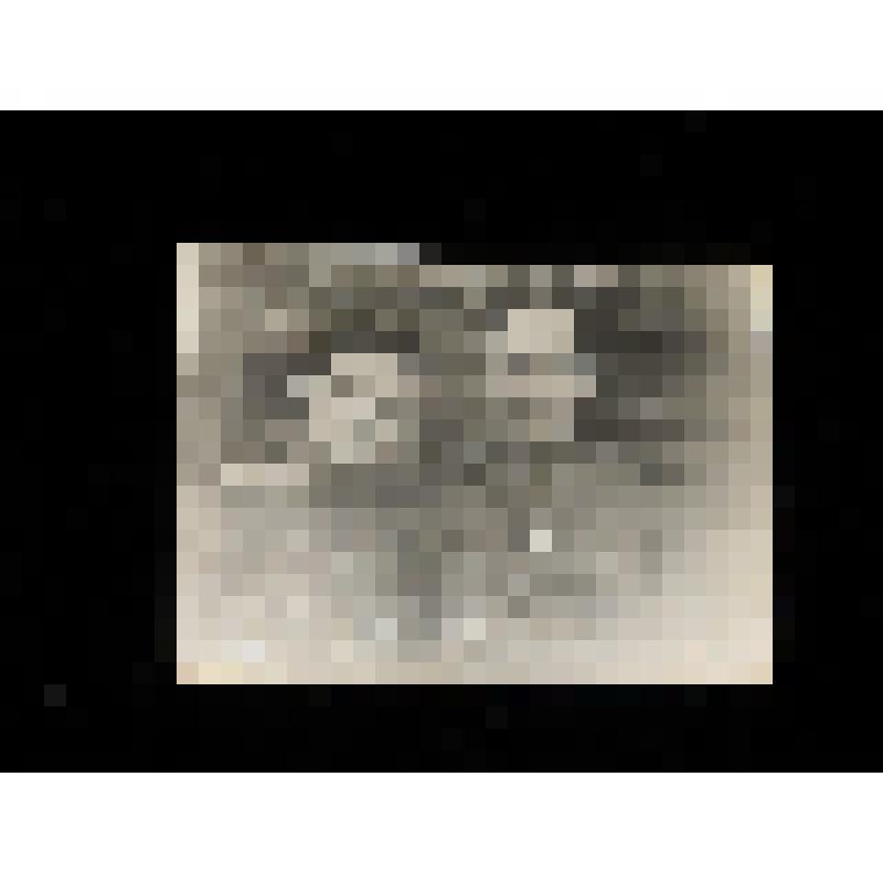 Фото Мокринский Пётр Георгиевич