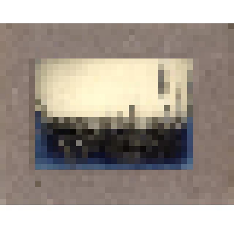 Фотография. Радио-поле после пожара в ноябре 1928г