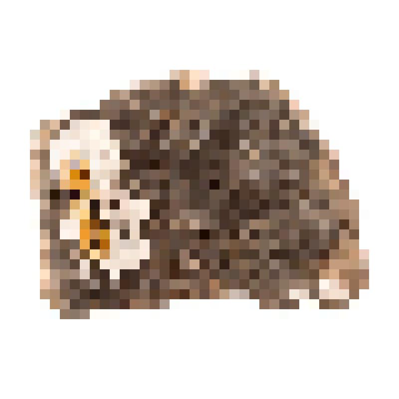 Фрагмент орнаментированный. Промысловое 2