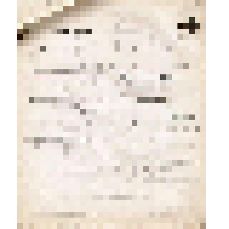 Телеграмма № 3444 в г. Чердынь В.Н.Алину от Морозова из г. Барнаула, 05.04.1905 г