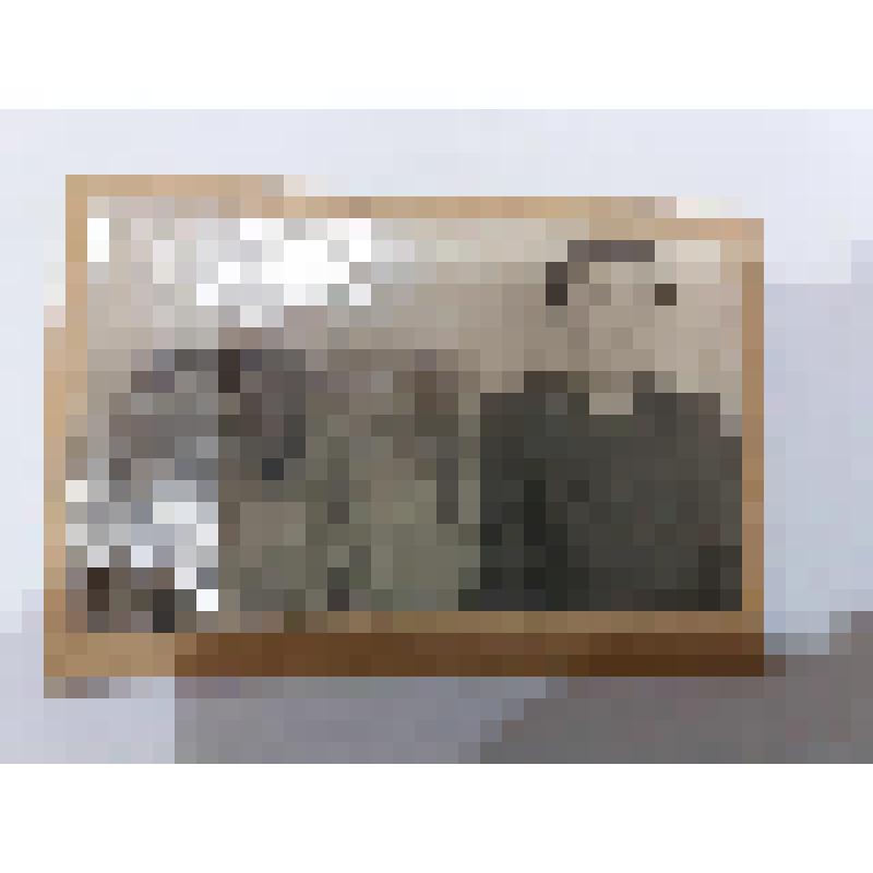 Фотография ч/б. Васильев С.С. стоит со шкурами