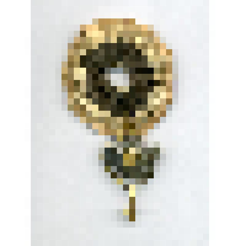 Знак масонской ложи "Северного Орла" (?) на красно-черной розетке