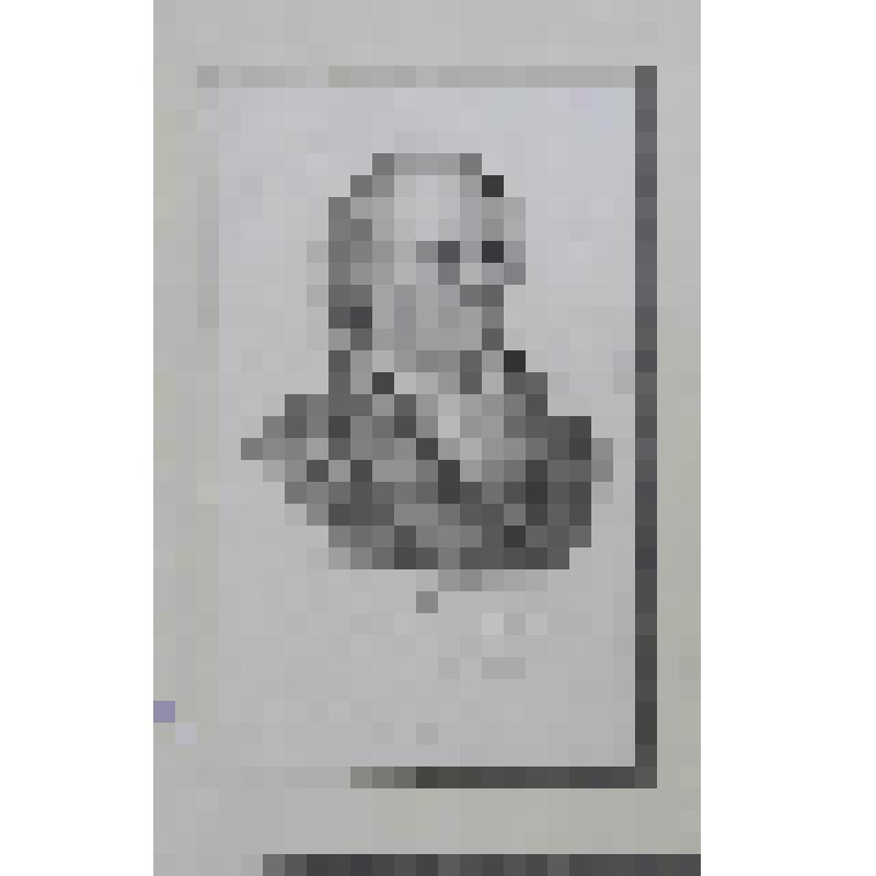 Портрет Жана-Поля Рихтера