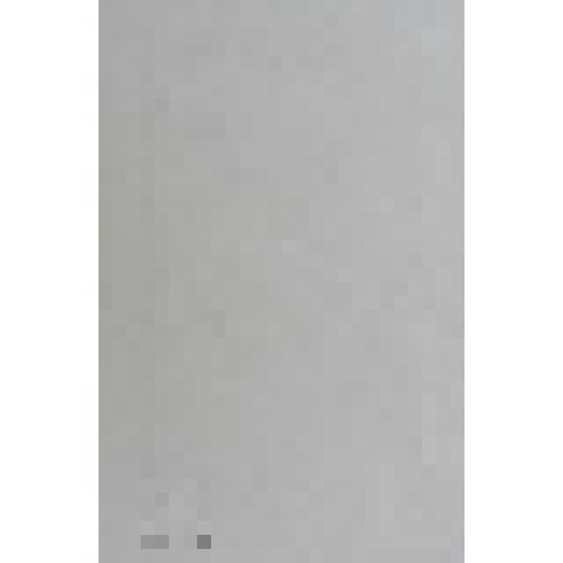 Портрет Жана-Поля Рихтера