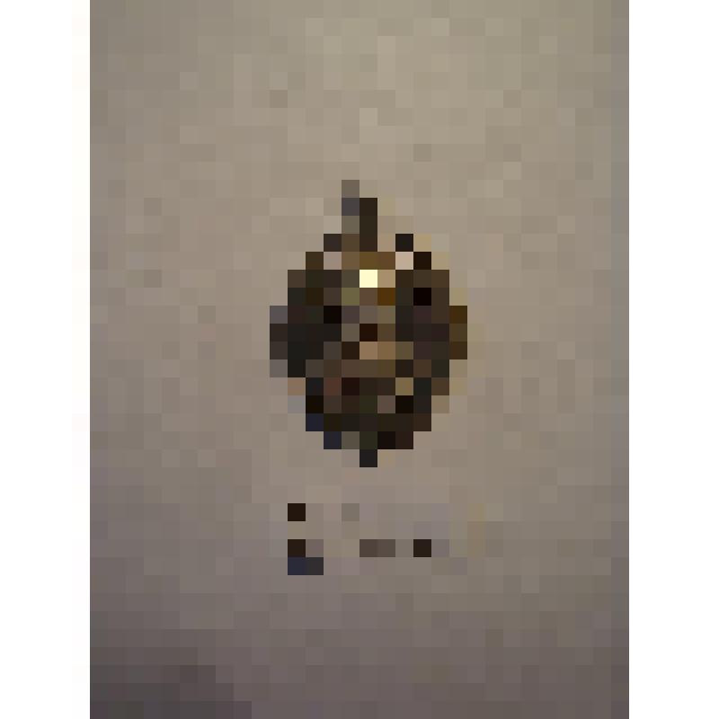 Жетон с изображением Л.Н.Толстого