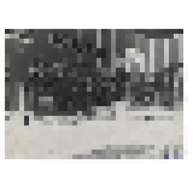 Выставка в Государственном литературном музее, посвященная А.П. Чехову