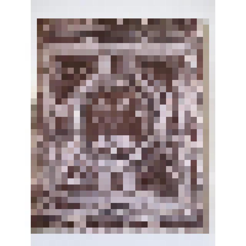 Палаццо Веккьо. 1298-99 гг. Италия, Флоренция. Палаццо Веккио. Зал Верде. Авт. Б. Тассо. Изд. Броджи