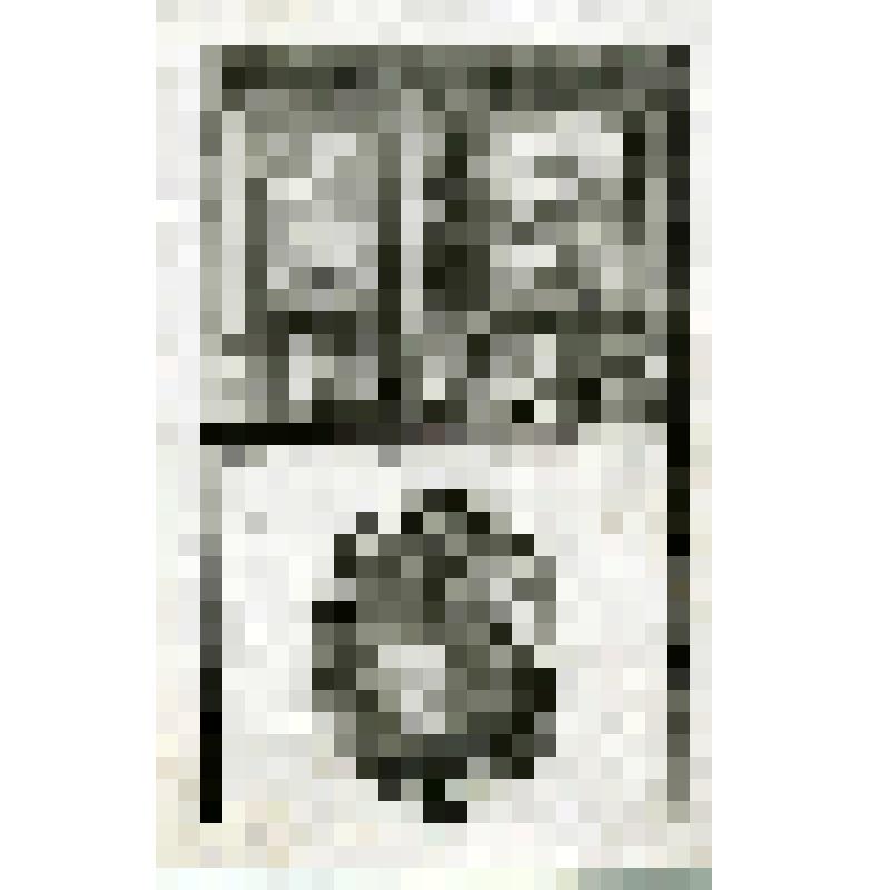 Офорт. Лист 177. Петр в доме Корнилия. Ангел выводит Петра из темницы (Деян. 10, 12)