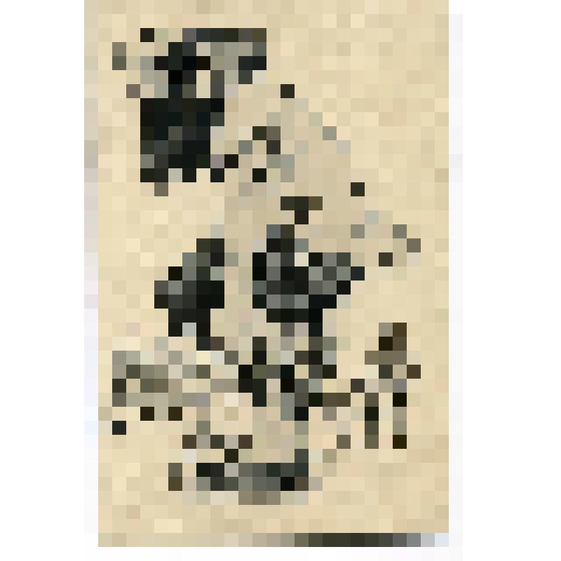 Рисунок сатирический, по журнальной иллюстрации. "Что ты, мужичок, на одной ноге стоишь?"