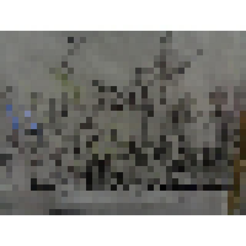 Фотография воинов – интернационалистов