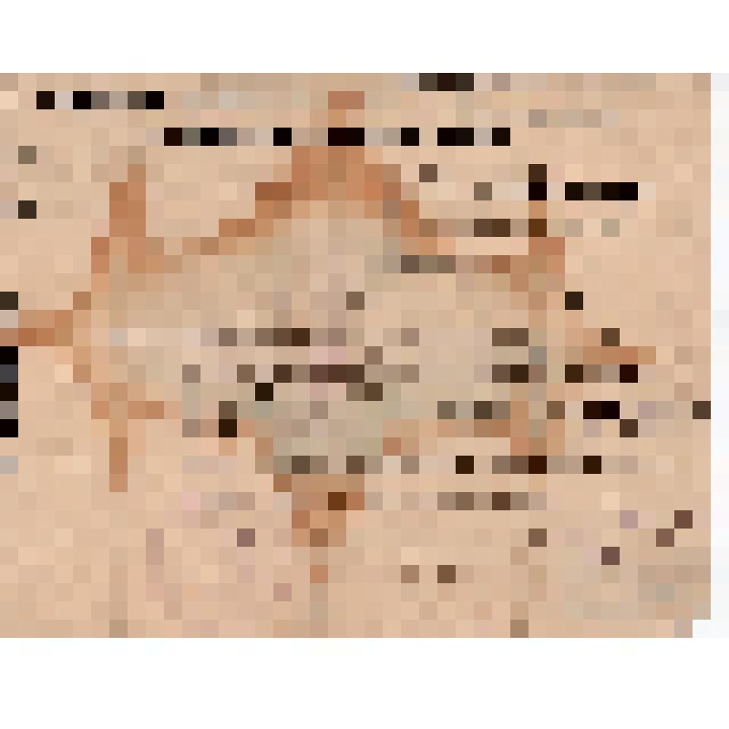 Удостоверение Кужелева В.П