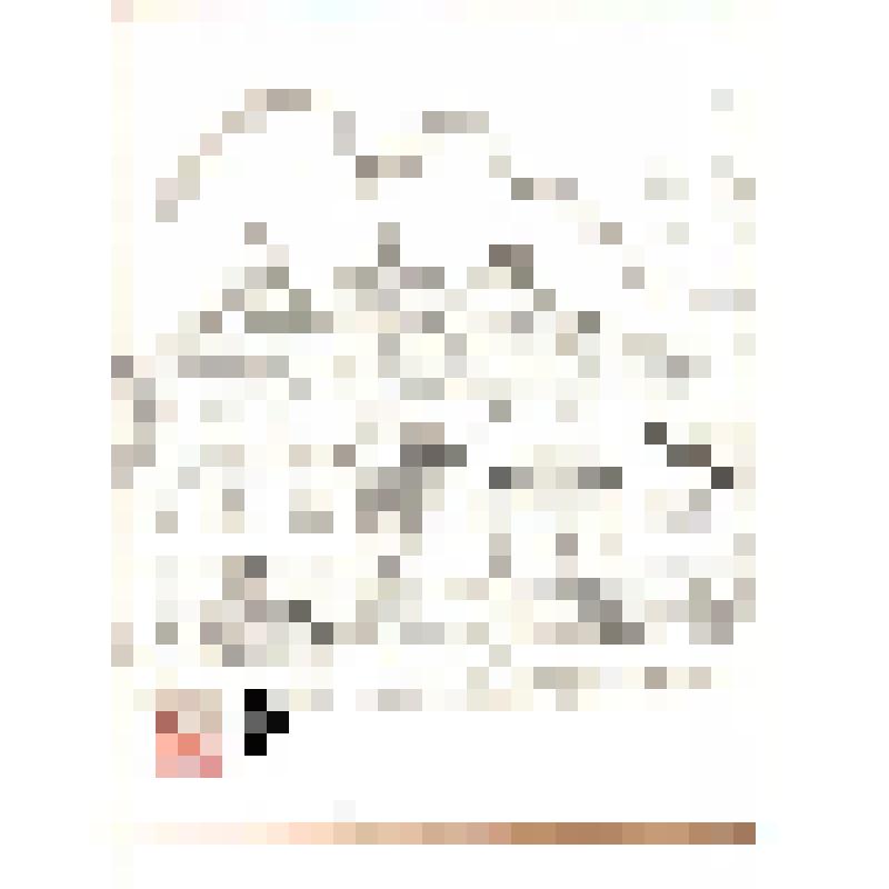 Здание в восточном стиле. Графика