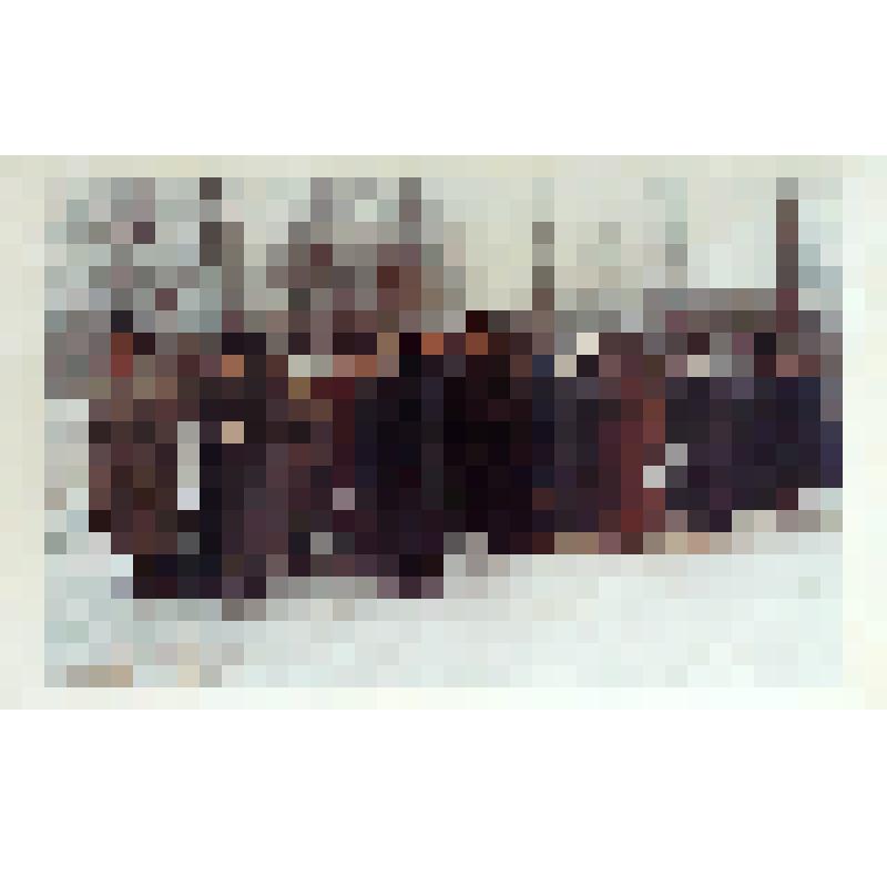Альбом с фотографиями "Инаугурация, демонстрация, совещание, встреча"