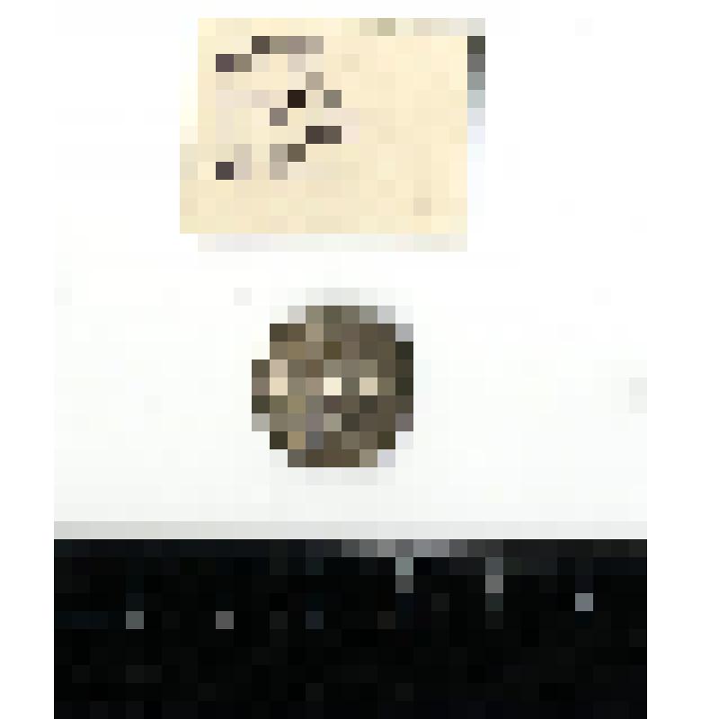 Подвеска - монета. Денарий