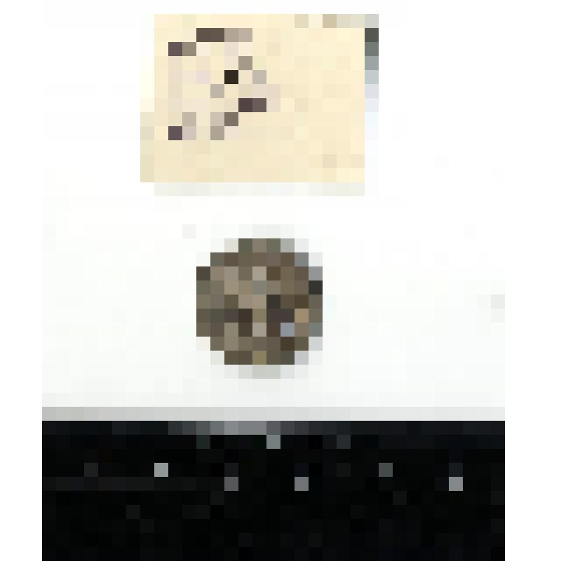 Подвеска - монета. Денарий