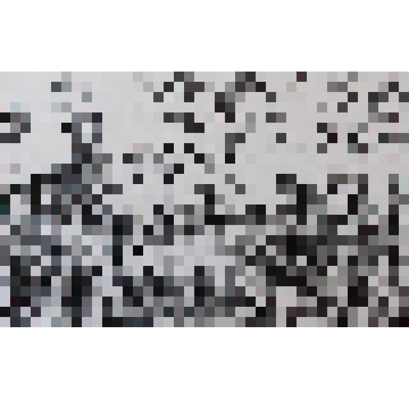 Оленеводы
иллюстрация к эскимосской сказке