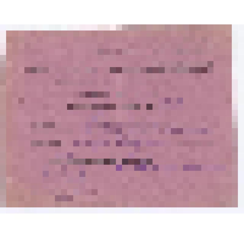 Билет делегатский № 127 Корепанова Дмитрия Ивановича, делегата от Союза Рабпроса, на IV съезд Профессиональных союзов Вотской Автономной Области. С порядком дня и регламентом съезда