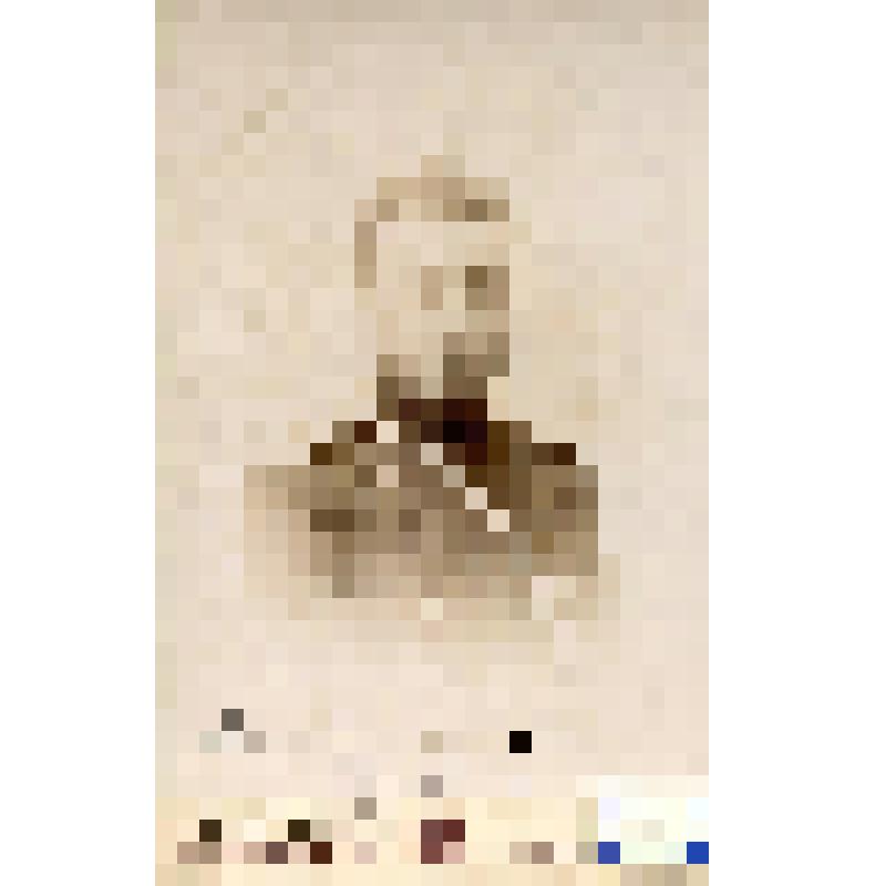 Фотография черно-белая. Гоумобаш Владимир Иванович