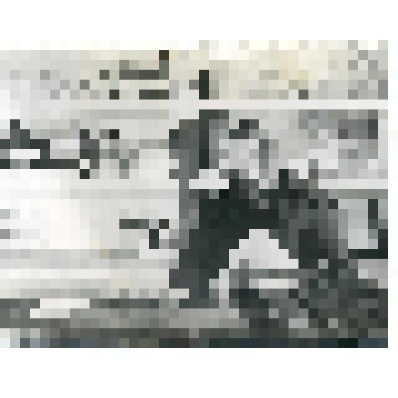 Фотография. Тихонова Любовь Константиновна (мама Тихоновой А.В.),, заведующая магазином Алексеевского молочно-консервного комбината