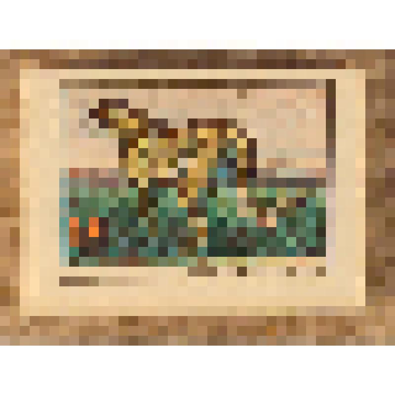 Коробок спичечный сувенирный "Азиатский гепард", из набора спичек сувенирного "Занесены в Красную Книгу СССР". 1982 г