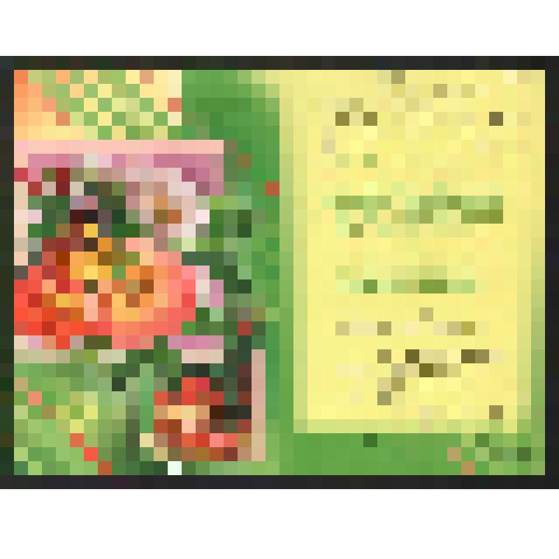 Поздравление Рудольской Л. Богомоловой З.А. с  Днём рождения