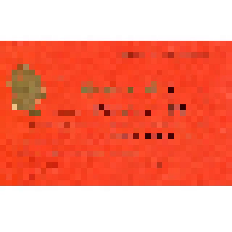 Мандат№ 101  Шиманова Федора Сергеевича  на первую Рязанскую областную конференцию колхозников. Октябрь 1969 г