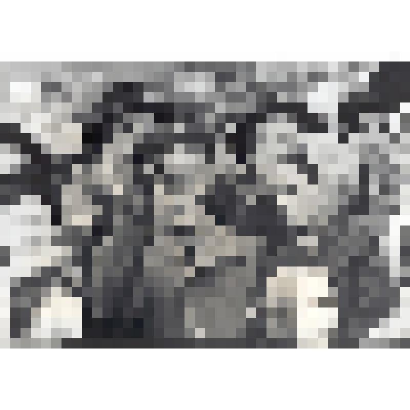 Фото. Ю.А.Гагарин с женой во время демонстрации на Красной площади 7 ноября 1961 года