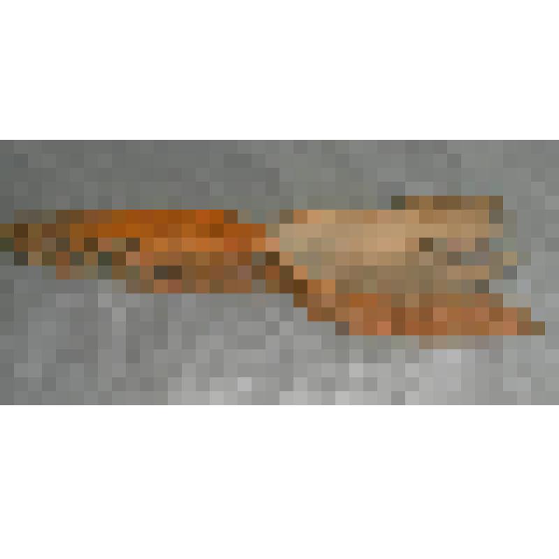 Совок для сбора ягод («грабилки», «набируха»)