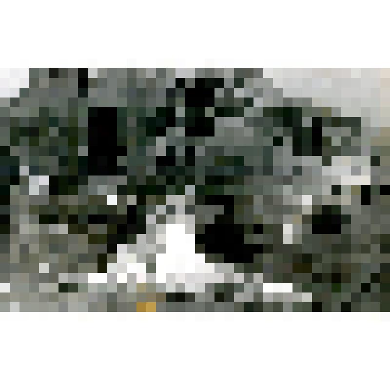 Капитан Карпов А.А. после боевого задания возле вертолета складывает парашют