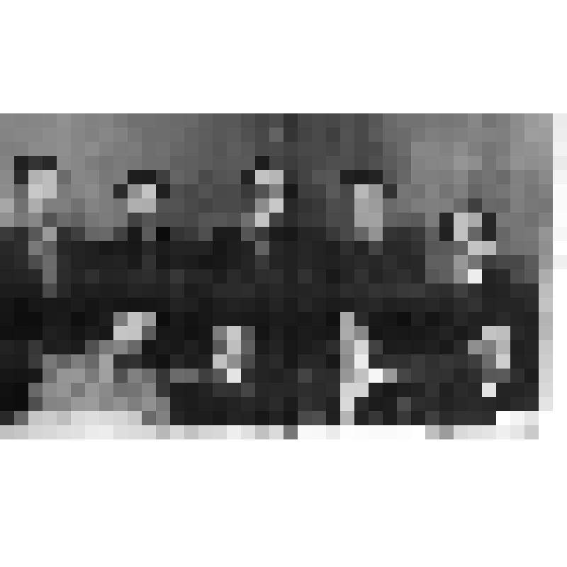 Фотография Ф. Ахмадиева стоит  во втором ряду справа. Изображено девять человек.  Фотография черно-белая