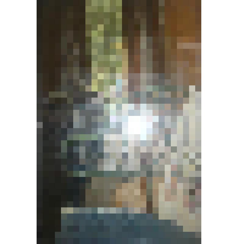 Картина. Вид во двор из мастерской