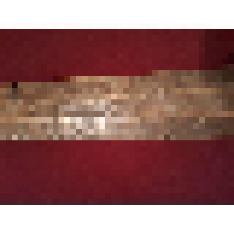 Рубель (старинный утюг)