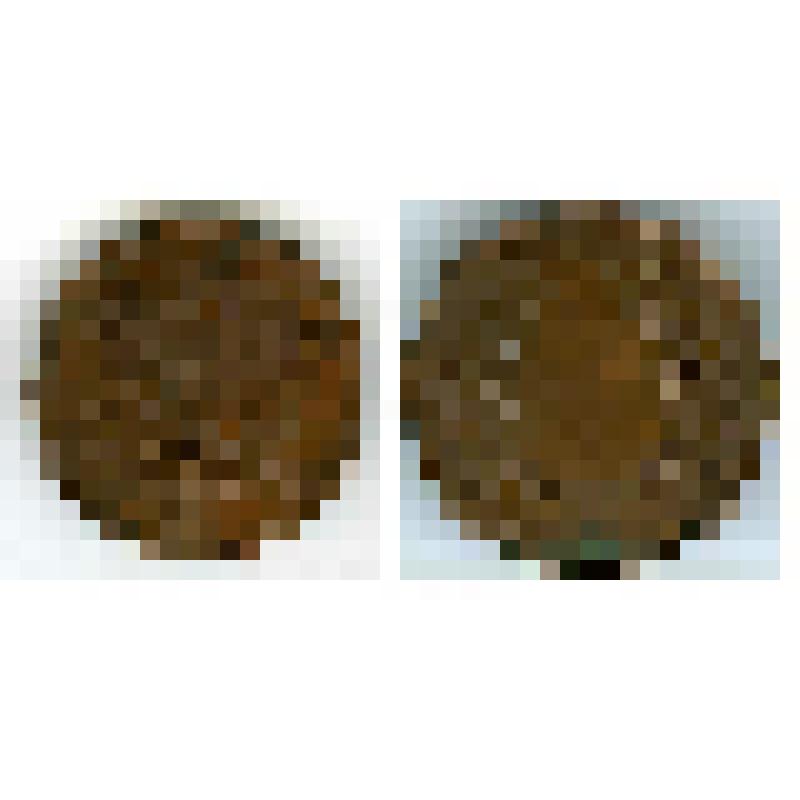 Медаль "Императорского общества размножения охотничьих и промысловых животных и правильной охоты"