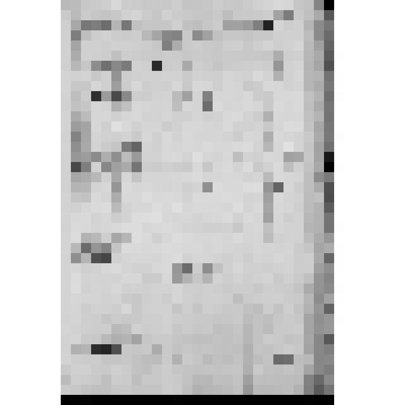 КОПИЯ СВЕДЕНИЙ О КАЗЕННЫХ ФАБРИКАХ