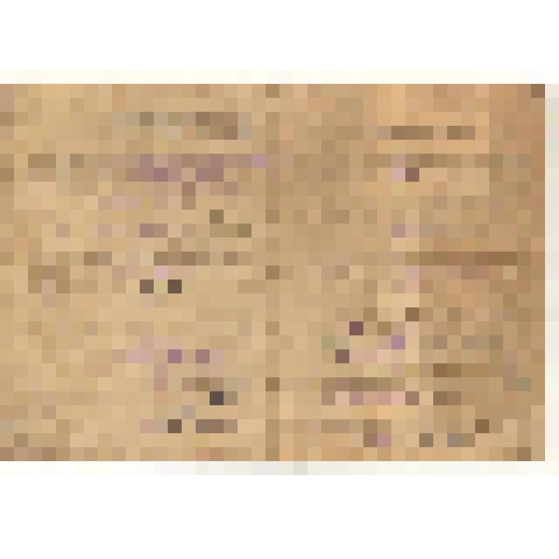 Книжка красноармейская Мешалкина П. М., кузнеца, сержанта, наводчика, призванного Бейским ГВК 12.07.1941 г. Выдана 24.01.1943 г