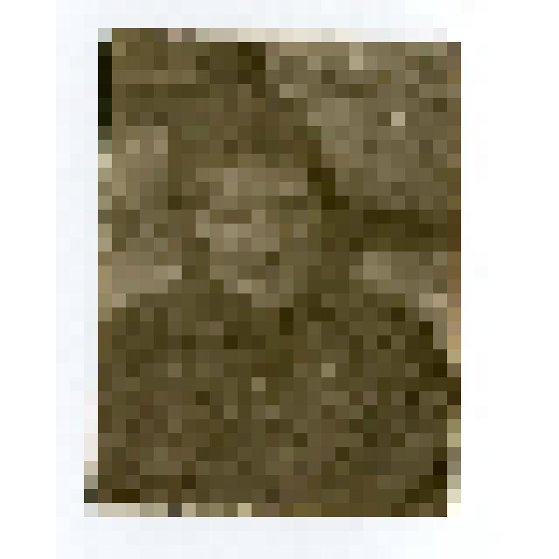 Фото портрет поясной. Прохорова Анна Андреевна