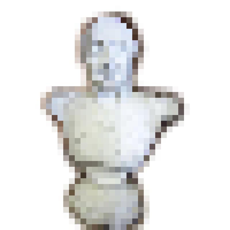 " Кутузов М. И." Бюст