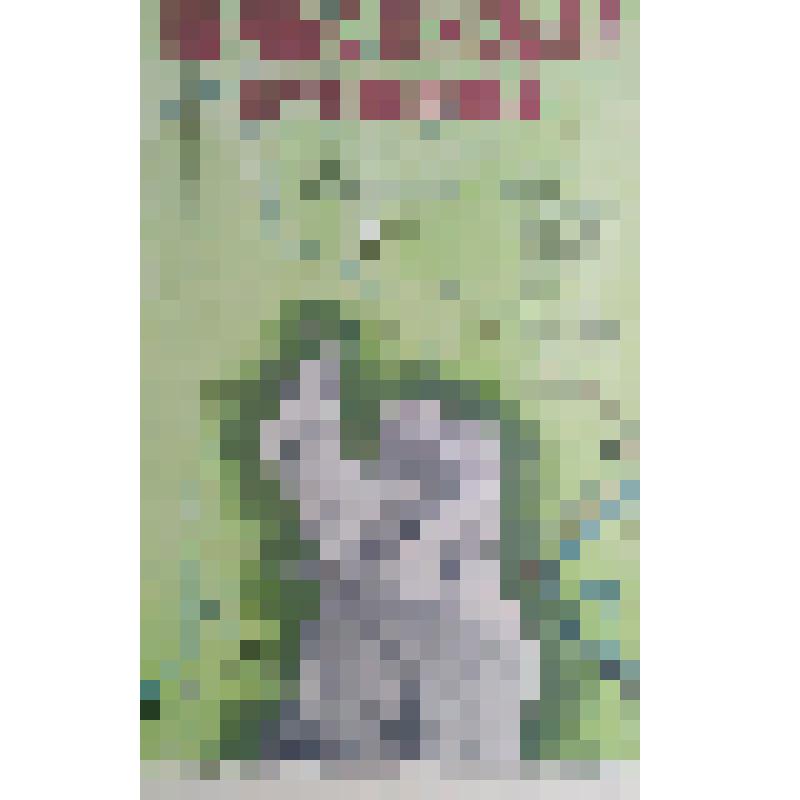 плакат. Фильм: Корпус генерала Шубникова. 1980