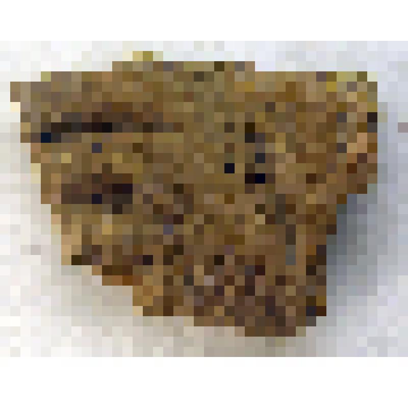 Фрагмент стенки сосуда